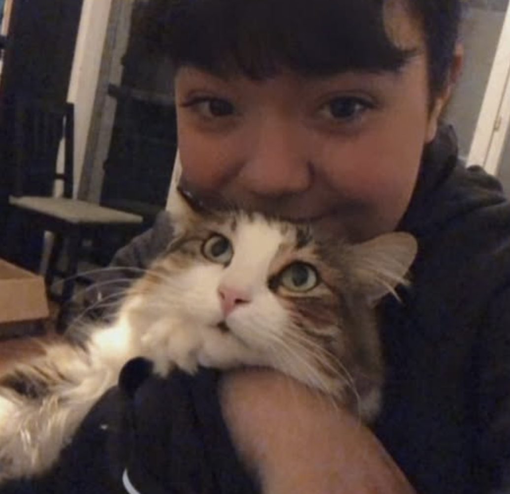 photo du chat charlie!